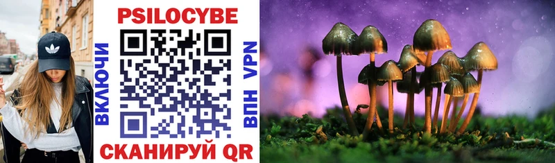 Псилоцибиновые грибы Magic Shrooms  Николаевск 